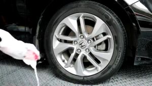 CBLUE Car Wash Brush 12PCS Detail Brush Interior Cleaning Brush Slot Brush Car Grooming Brush Cleaning Tool