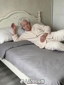 MIAOBEIYOU | Bedside Support Handle Bed Rail Elderly Fall Prevention 1 Unit