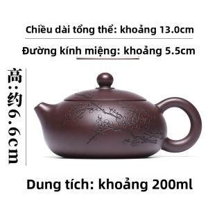 CANGHUTIANXIA | Bình Trà Đất Sét Tím Khắc Hoa Mận Bằng Tay