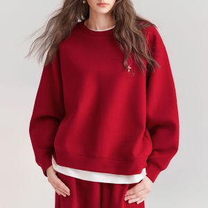 Simple Hooded Zipper Air Layer Fluffy Loose Sweatshirt Set