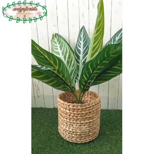 Pohon Artificial Daun Aglonema Hijau Strip Pot Dasar Hitam Cover Eceng Gondok Dekorasi Ruang Tamu Aesthetic