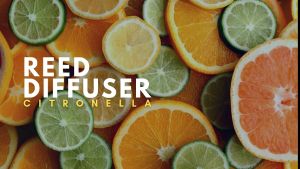 ARA Reed Diffuser CITRONELLA Pengharum Pewangi Ruangan Aromatherapy