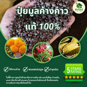 *แบ่งขาย* ปุ๋ยมูลค้างคาว ขี้ค้างคาวแท้100% (แบบอัดเม็ด) สารอาหารครบถ้วน ใช้งานง่าย