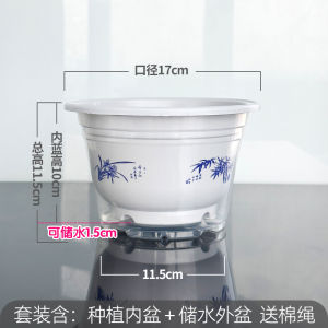Transparent Plastic Flower Pot Automatic Water Absorption Home Use Lazy Person Special Storage Water Cultivation Green Ivy Pot