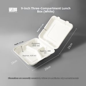 NUOXIAN | Biodegradable Compartmentalized Lunch Box