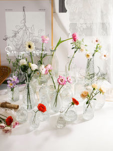 ราคาถูกถูกการผสม ชุดฝรั่งเศสภาชนะใส่ดอกไม้ไฮโดรโปนิโปร่งใสของประดับตกแต่งโต๊ะ แนววินเทจสไตล์INS แนวเสียงสไตล์ฝรั่งเศส