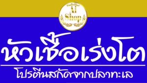 กระตุ้นการกิน โตเร็ว หัวเชื้อปลา สำหรับการปลางู สารสกัดจากปลาทะเล