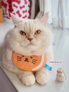 Transparent Cat Shaped Hair Storage Keychain Toy Capsule Cute Cat Hair Decorative Hanging Ornament Memorial Bag for Anime Fans