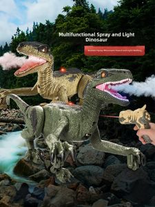 Remote Control Dinosaur Toy Electric Walking Childrens Jurassic Park Light Chasing Spray Boys Realistic Tyrannosaurus 1589