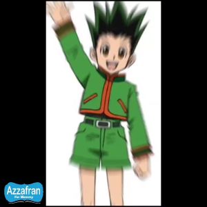 Carnaval Series | Kostum GON Hunter X Hunter | Setelan Baju Karnaval Anak | Azzafran for Mommy