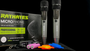 RAYHAYES RG-H15S 2.4G Wireless Dual Microphone Type-C Rechargeable 50M Range