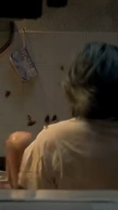 1 Box (20 items) Silverfish Sticky Trap- Extra Sticky for Silverfish Non-Toxic & Odorless - Ideal for Closets Bookshelves Wardrobes to Catch Silverfish