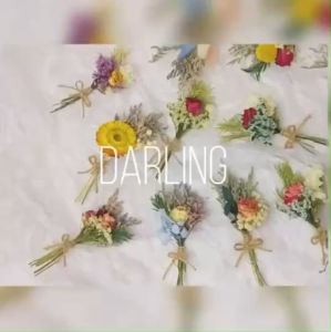 ใหม่พร๊อพดอกไม้ ใช้วางโชว์ถ่ายรูป ทำเป็นพร็อพถ่ายรูปเล็บ เพิ่มความเก๋ให้เล็บดูสวยยิ่งขึ้น