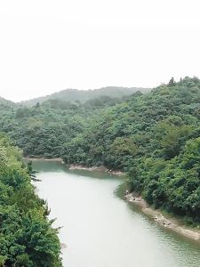 Mobi Garden - Outdoor Camping Portable Water Tank Water Bucket With Faucet 10L / 20L Drinking Container Bekas Tangki Air