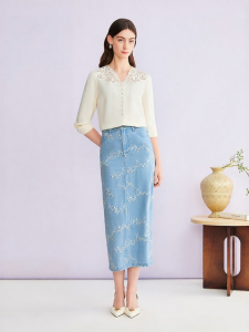 Elegant Slim Fit V-Neck Embroidered Blouse