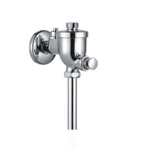 Manual Press Delay Close Flush Valve