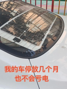 Universal Solar Controller Automatic Lithium Battery Photovoltaic Solars Panel Power Charger