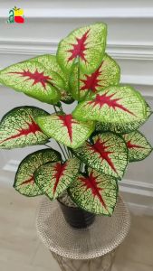 Tanaman Plastik Monstera Keladi Aglonema: Desain Taman Artifisial & Hiasan Rumah