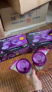 Đôi còi ngân ô tô xe máy Samji HÀN QUỐC 6 tiếng. Còi ngân tím điện 12v và 24v