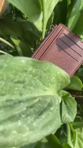 Dompet Kartu Wanita Koin Premium Kulit Card Cokelat Simple Baldethiva Elegan Branded Mini uang WA1194B7