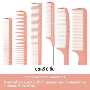 6 ชิ้น Anti - Static ตัดผมชุดหวี Knotting หวีแบบพกพาสําหรับผู้ชายและผู้หญิง Salon จัดแต่งทรงผมหวี