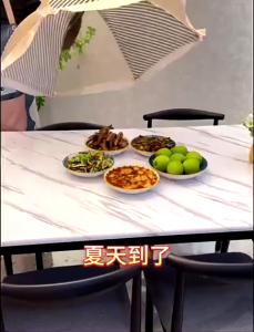 Lồng Bàn Đậy Thức Ăn Gấp Gọn Lưới Chống Ruồi Muỗi Size Lớn Cho Bàn Ăn Gia Đình