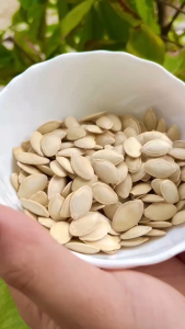 Hạt Bí Ngô Rang Muối Nguyên Vị Đặc Biệt Loại To Giòn Béo Bùi Chất Lượng Cao Mới Mỗi Ngày Thơm Ngon Dành Cho Người Yêu Thích Món Ăn Đậm Đà