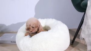 Warm Soft Plush Round Cat Bed for Sleeping Available in Multiple Sizes