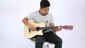 MLZH | Folk Acoustic Guitar Beginner Suitable