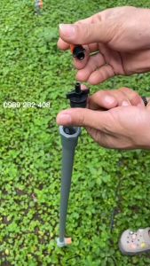 BÉC TƯỚI PHUN SƯƠNG CAM