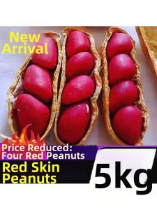 Fresh Peeled Red Skin Peanuts