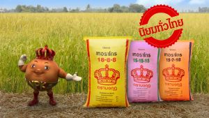 ทับทิม ปุ๋ยเคมี 50 กก สูตร 15-15-15+0