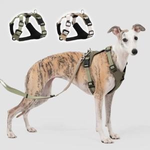 HamshMoc Pet Sport Vest Two Connection Points Adjustable Straps Breathable Mesh For 35kg Dogs