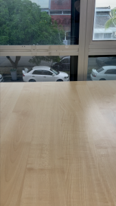 SOAR Ceramic Double Cat Bowl – Hygienic Anti-Spill and Elevated for Neck Protection