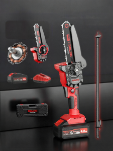 DELIXI Electric | Extendable Cordless High-Branch Chainsaw