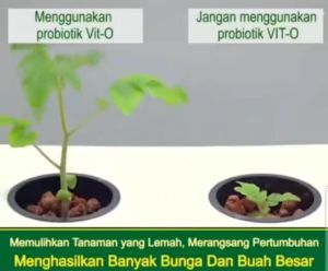 Vit-O 5 Liter(5000ml) kemasan pabrik vitamin organik pupuk cair segala tanaman teknologi jepang