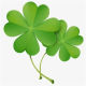 Four Leaf Clover Yoga Store