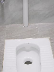 Anti-Odor Toilet Squat Plate