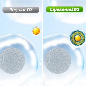 LABO Nutrition Liposomal Vitamin D3 1000IU for Strong Bones Teeth Muscle & Immune Health • First Vegan Sourced Vitamin D • Made in Japan • 240 vegetarian softgels