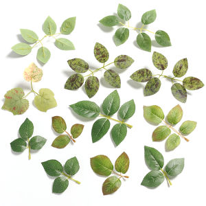 10/20Pcs Artificial Rose leaves Fake Silk Green Leaves for Home DIY Wedding Bouquet Centerpiece Party Decor Rose Vine Garments
