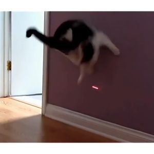Đèn lazer tia Đỏ/màu xanh lá Đèn pin laze Đèn lazer dạy học/cho mèo-NIEVE