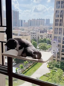 Lovinland Cat Window Perch Cordless Foldable Cat Hammock Bed for Window with Metal Frame and Reversible Cover Large Suction Cups Window Resting Seat for Indoor Cats Machine Washable Seat Cover