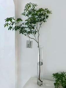 Slim High Glass Floor Vase: A Comprehensive Guide