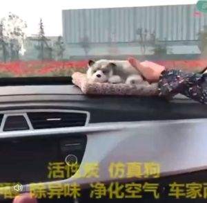 Realistic Animal for car Decoration Cute Small Dog pup Plush Simulation Labrador Retriever Puppy Gifts for Kids can Used as air Filter