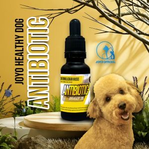 OBAT ANJING SAKIT | VITAMIN ANJING | ANJING LESU | ANJING KURANG AKTIF | HEALTHY DOG ANTIBIOTIC 20 ML