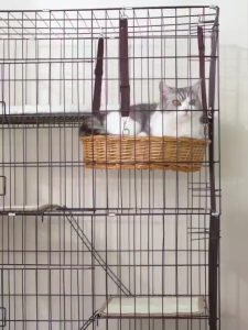 Large Foldable Cat Cage 4 Levels Pet Cage Comes with Tray Easy to Assemble and Move