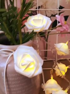 Đèn led dây hoa hồng trang trí dài 3m dùng pin