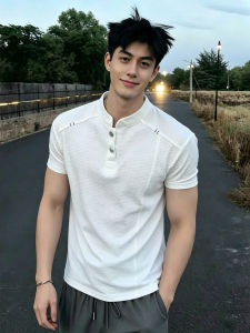 ZHUOCAN | American Waffle Embroidery Henley Collar Thin Quick Dry T-Shirt