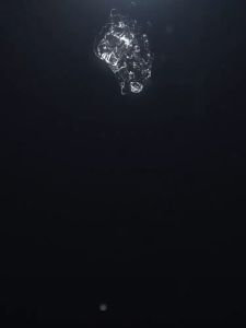 Laser Pointer Smiling Shark LS313: Panduan Lengkap