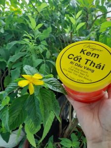 [GIÁ SỈ] COMBO 5HỘP. KEM BODY CỐT THÁI MIX SERUM KÍCH TRẮNG 500G